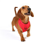 DOOG Neosport Soft Harness (Solids)