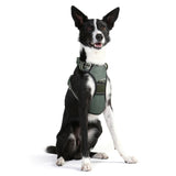 DOOG Neotech Harness (Solids)