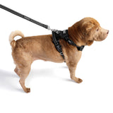 DOOG Neotech Harness (Solids)