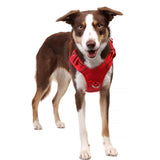 DOOG Neotech Harness (Solids)