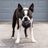 KONG Stuff A Ball Extreme