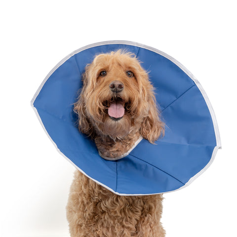 KVP EZ Flex E-Collar