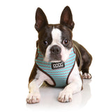 DOOG Neoflex Dog Harness (Patterns)