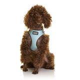 DOOG Neoflex Dog Harness (Patterns)