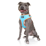 DOOG Neoflex Dog Harness (Neon)