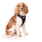 DOOG Neoflex Dog Harness (Patterns)