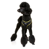 DOOG Neoflex Dog Harness (Neon)