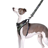 DOOG Neoflex Dog Harness (Patterns)