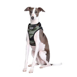 DOOG Neoflex Dog Harness (Patterns)