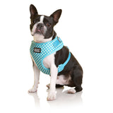 DOOG Neoflex Dog Harness (Patterns)