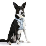 DOOG Neoflex Dog Harness (Patterns)