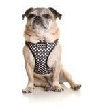 DOOG Neoflex Dog Harness (Patterns)