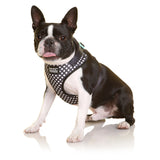 DOOG Neoflex Dog Harness (Patterns)