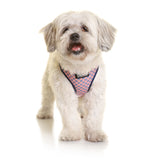 DOOG Neoflex Dog Harness (Patterns)