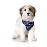 DOOG Neoflex Dog Harness (Patterns)