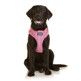 DOOG Neoflex Dog Harness (Patterns)