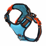 DOOG Neotech Harness (Neon)