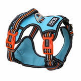 DOOG Neotech Harness (Neon)