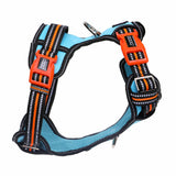 DOOG Neotech Harness (Neon)