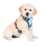 DOOG Neotech Harness (Neon)