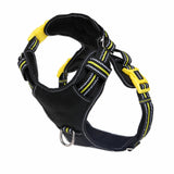 DOOG Neotech Harness (Neon)