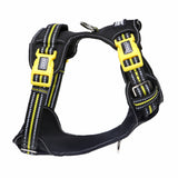 DOOG Neotech Harness (Neon)