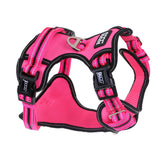 DOOG Neotech Harness (Neon)