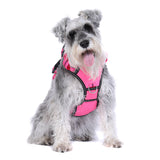 DOOG Neotech Harness (Neon)