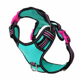 DOOG Neotech Harness (Neon)