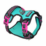 DOOG Neotech Harness (Neon)