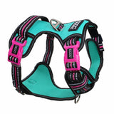 DOOG Neotech Harness (Neon)