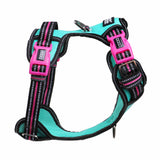 DOOG Neotech Harness (Neon)