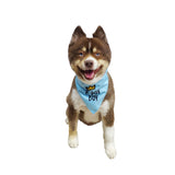 Hip Doggie Birthday Reversible Bandana (Boy/Girl)