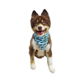 Hip Doggie Birthday Reversible Bandana (Boy/Girl)