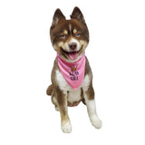 Hip Doggie Birthday Reversible Bandana (Boy/Girl)