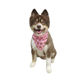 Hip Doggie Birthday Reversible Bandana (Boy/Girl)