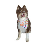 Hip Doggie It's My Birthday Tied Bandana