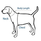 Hip Doggie Basic Hoodie - Blue