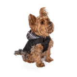 Hip Doggie Reversible Raincoat w/ Hood