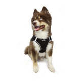 Hip Doggie EZ Step-In Harness Vest