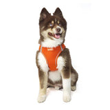 Hip Doggie EZ Step-In Harness Vest