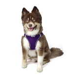 Hip Doggie EZ Step-In Harness Vest