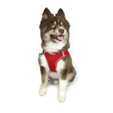 Hip Doggie EZ Step-In Harness Vest