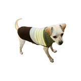 Hip Doggie Color Block Sweater - Green/Brown