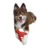 Hip Doggie Vegetable Loofah Dental Toys
