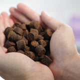 Healthybud Gut Booster (Turkey)