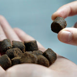 Healthybud Joint Booster (Beef)