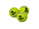 Spunky Pup Automatic Tennis Ball Launcher (w/3 Tennis Balls)