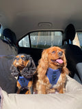 DOOG Car Seat - Large