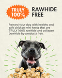 Canine Naturals Chicken Recipe Chew - Mini Knot (12 Pk)